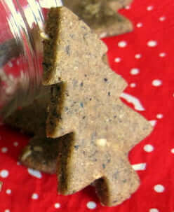 Dog biscuit shaped like a christmas tree
