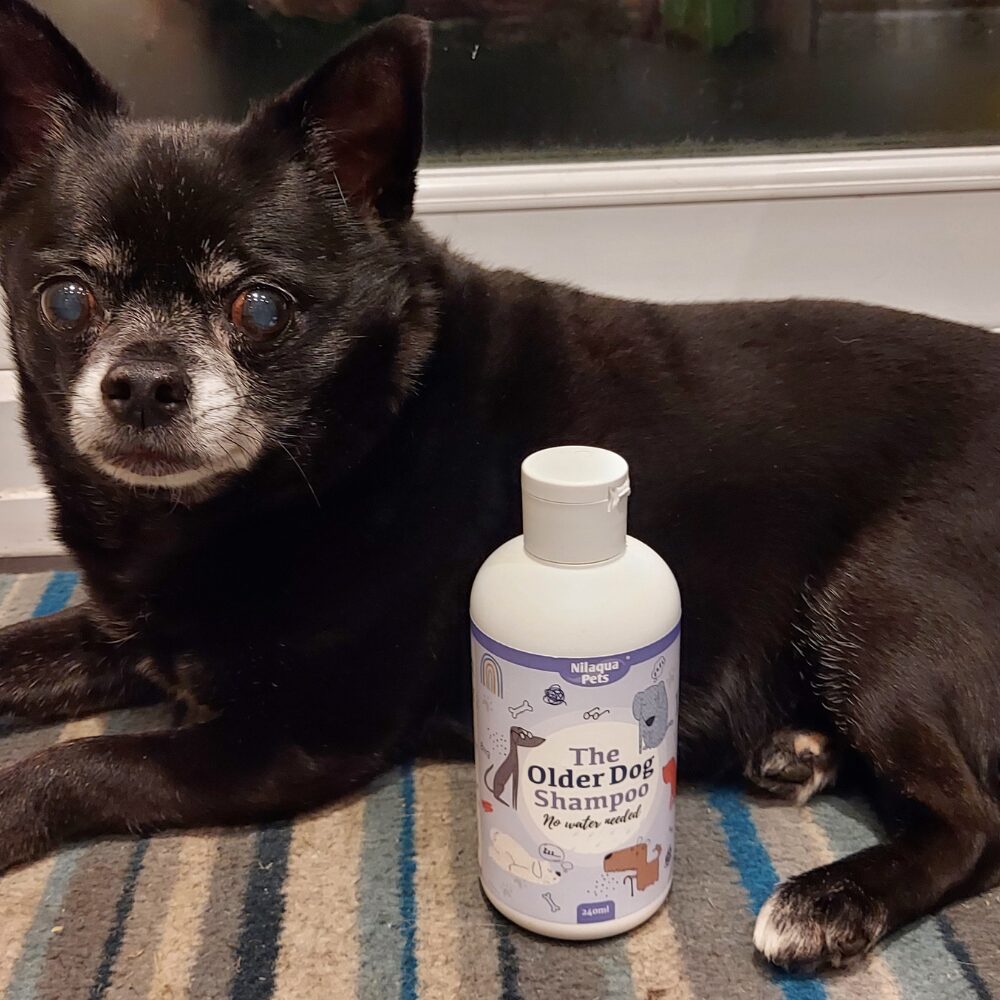 Nilaqua No Rinse Dog Shampoo for Older Dogs | Urine Odour Remover