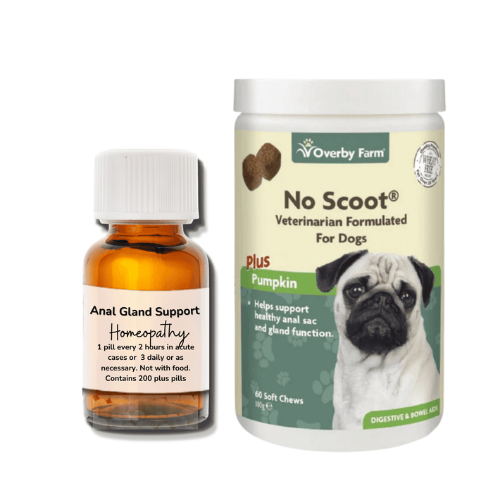 No Scoot for Dogs Soft Chews