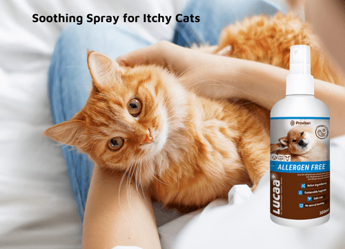 Soothing Lucaa+ Allergen-Free spray for itchy cats and dogs, helping improve their comfort and relieve skin irritation.