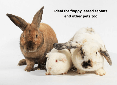 Three adorable pets, including two floppy-eared rabbits and a guinea pig, showcasing versatility for various animals.