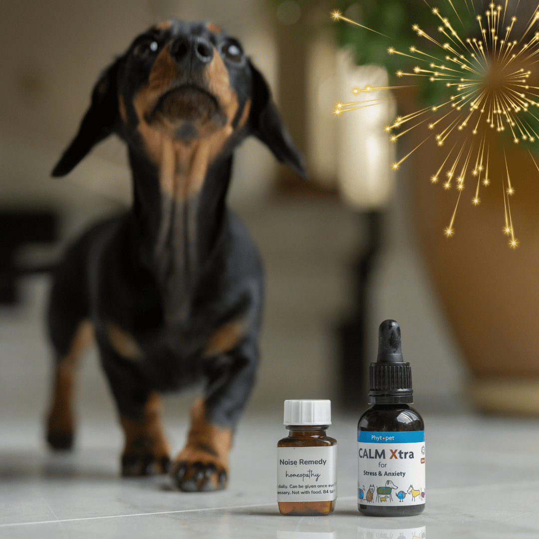 Fireworks Special Pack: For Dogs Scared of Fireworks