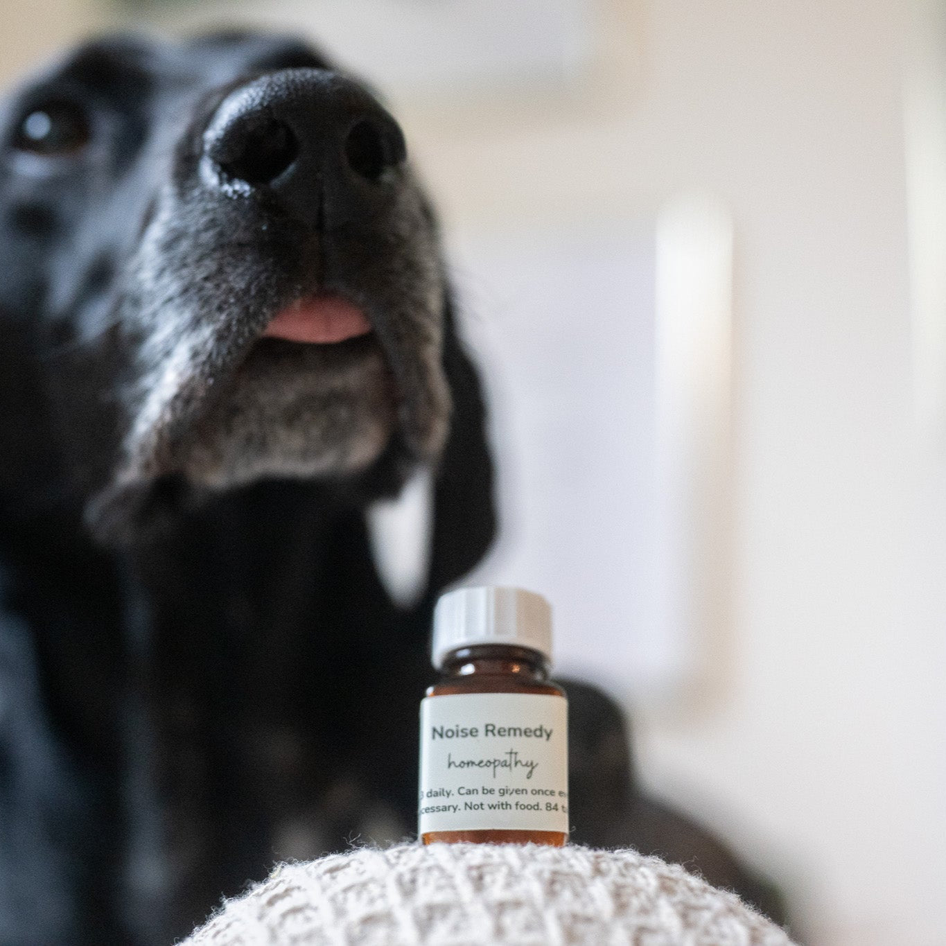 Noise Remedy: For noise sensitivity