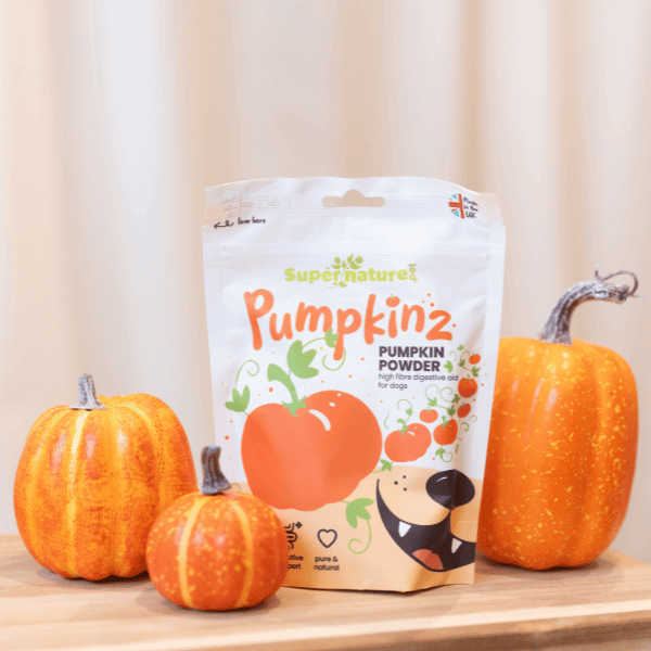 Supernature Pumpkinz Pumpkin Powder package with pumpkins, promoting dog gut health and digestive support.
