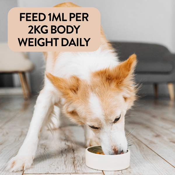 A picture of a dog eating its meal with instructions to feed 1 ml per 2 kg body weight daily.