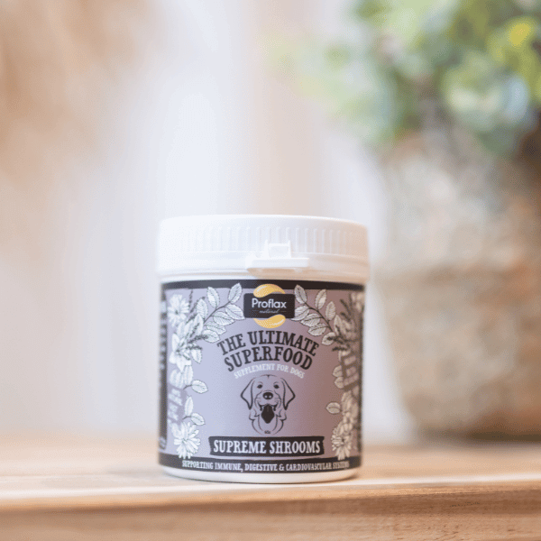 Proflax Supreme Shrooms dog supplement jar with natural mushroom blend for immunity and heart health.