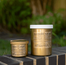 Image of Glucosamine for Dogs Plus 5000 containers for promoting healthy joints and cartilage.