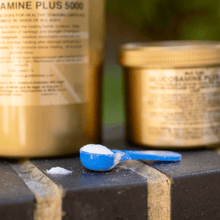 Glucosamine for Dogs Plus 5000 powder with measuring scoop for healthy joints and cartilage in dogs.