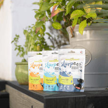 Joint Support Bundle - Slurpee bone broth powder for dogs in chicken, beef, and fish flavors.