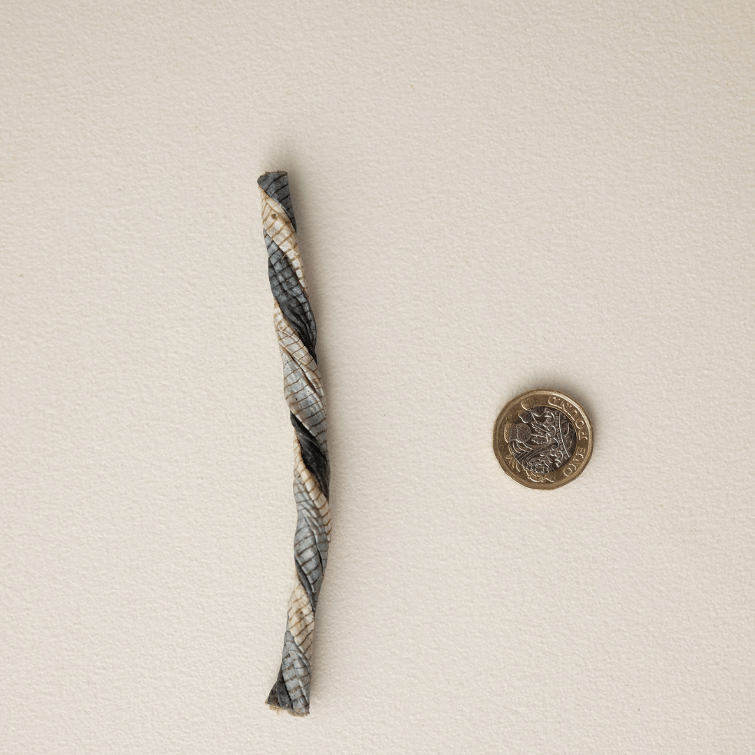 Dogseatus Fish Skin Twists