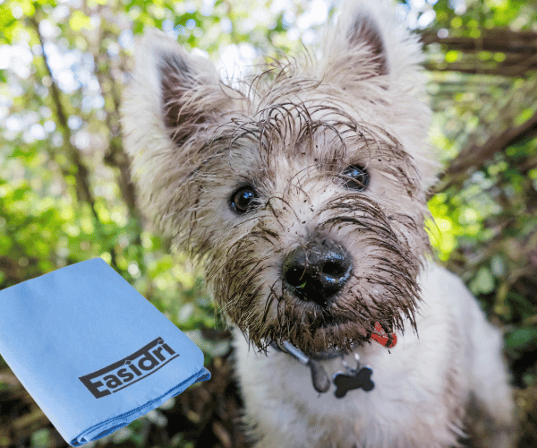 A muddy dog beside an Easidri pet towel, highlighting its super absorbent and durable features for quick drying.