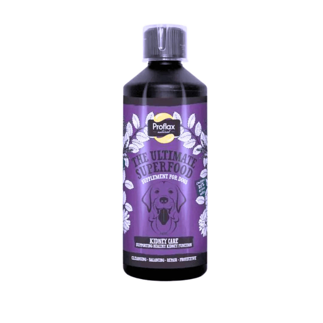 Bottle of Proflax Kidney Care on a white background