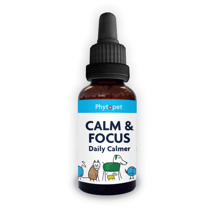 Calm and Focus For Dogs