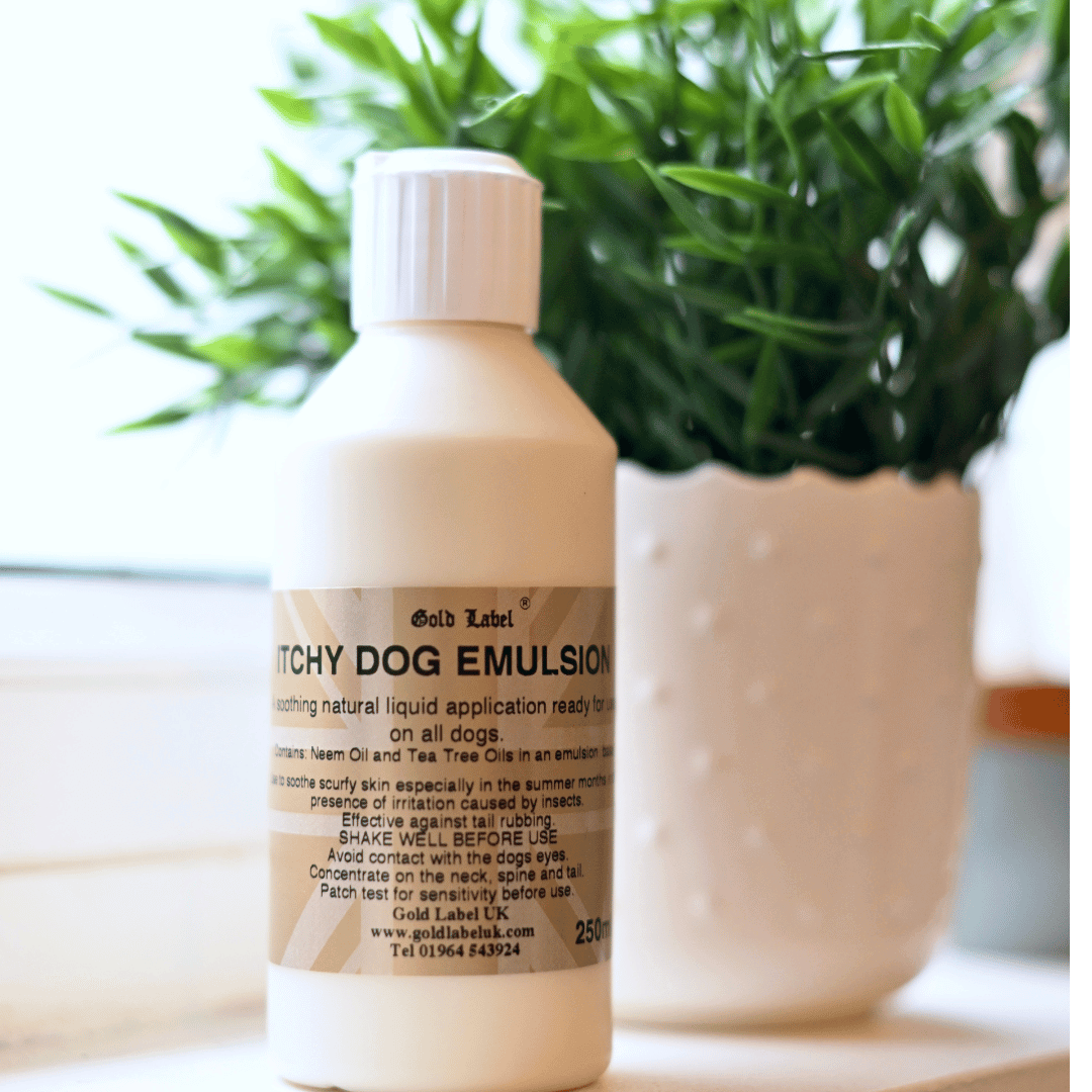 Bottle of itchy dog emulsion on a window sill with plant in background