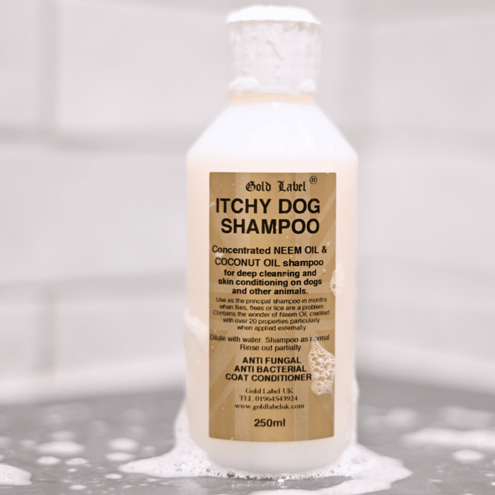 Itchy Dog Shampoo