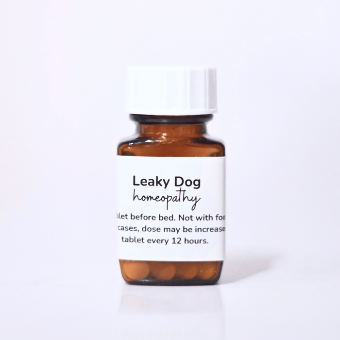 Leaky Dog: Natural Incontinence Support