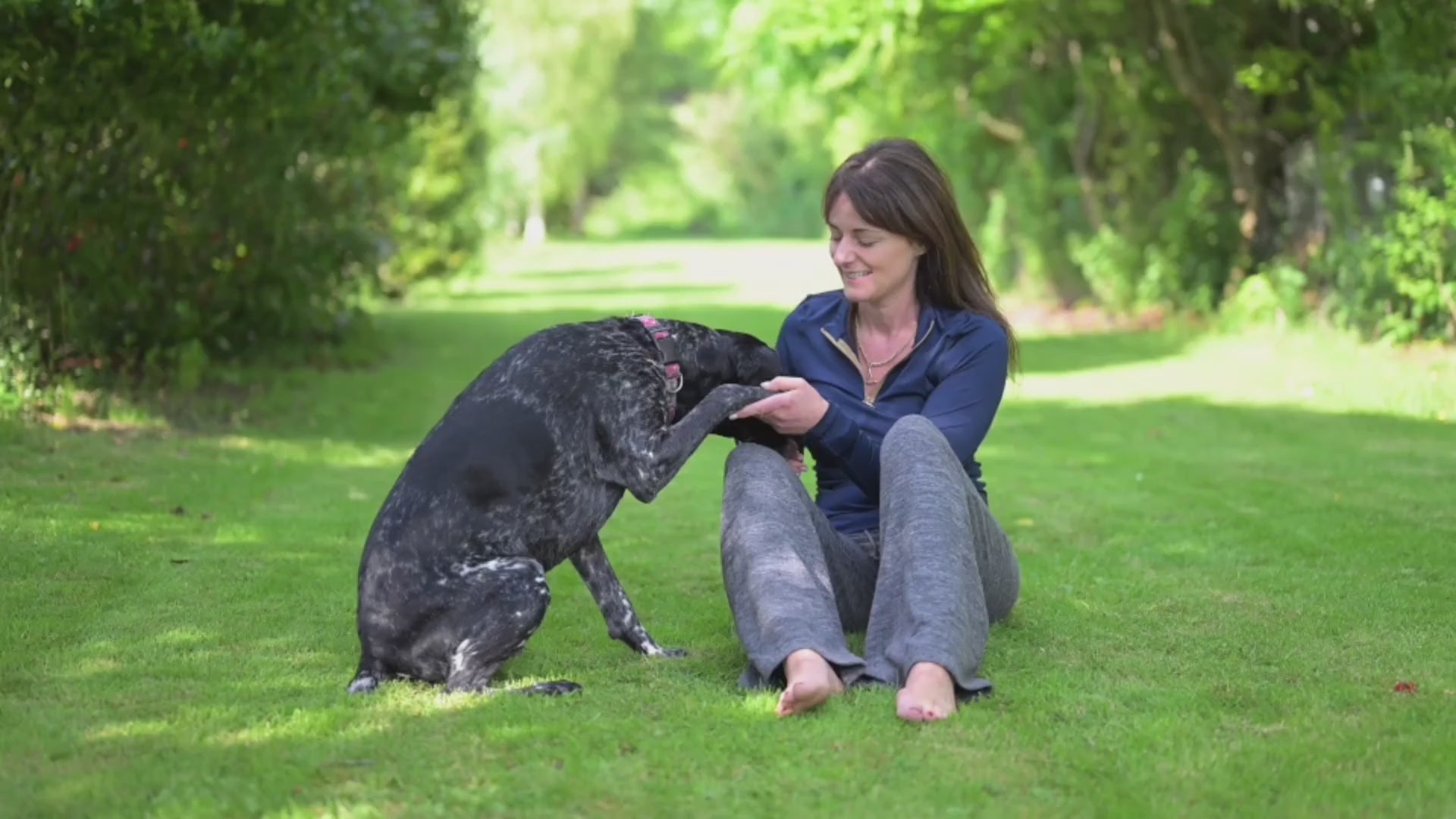 Load video: Canine Natural Cures | Health Supplements for Dogs & Puppies