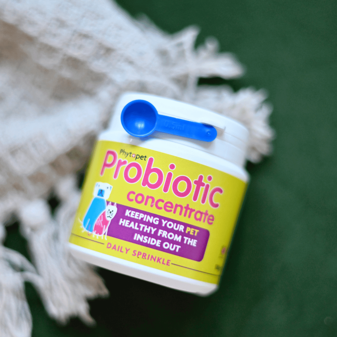 Probiotic Concentrate Dog Supplement with Measuring Scoop on Green Background