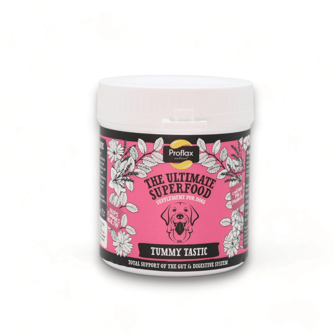 Proflax Tummy Tastic digestive supplement for dogs in a colorful container, promoting gut health and immune support.
