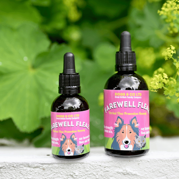 "Farewell Fleaz natural flea treatment for dogs with herbal ingredients, two bottles outdoors"