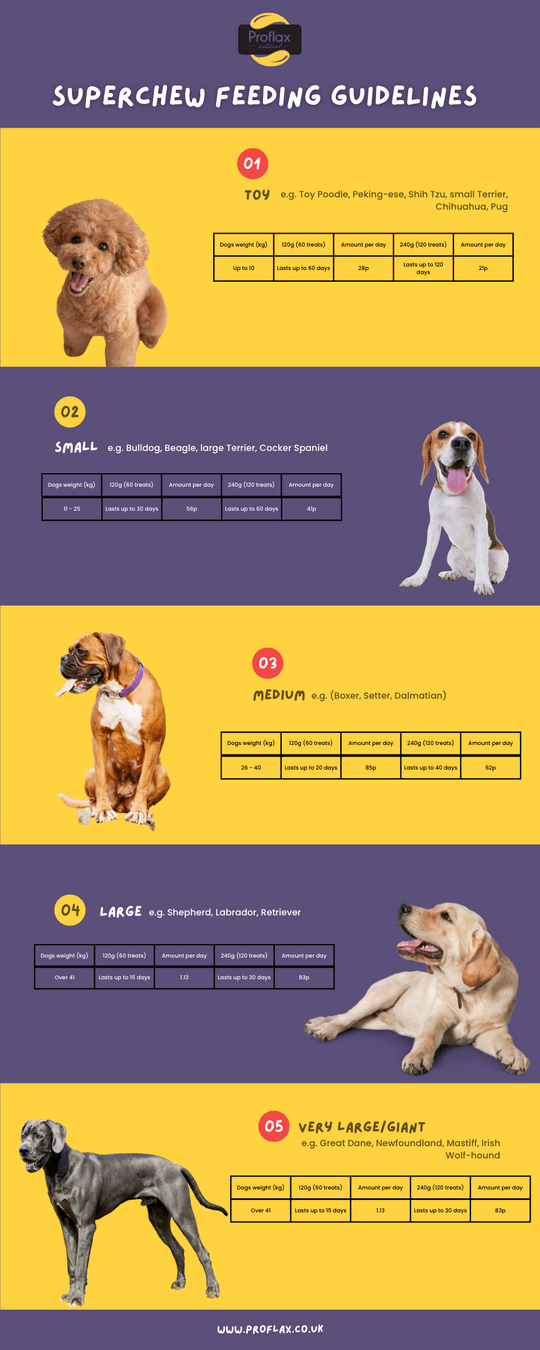 Superchew feeding guidelines chart for different dog sizes: toy, small, medium, large, and very large breeds.