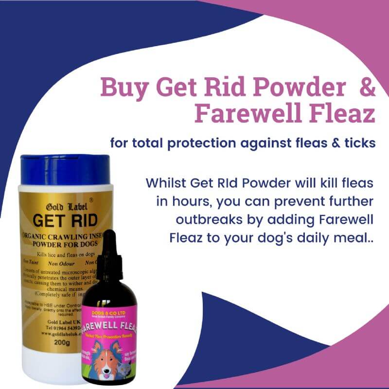 Get Rid Natural Flea Powder and Farewell Fleaz for Dogs - 200g container and supplement for flea and tick protection.