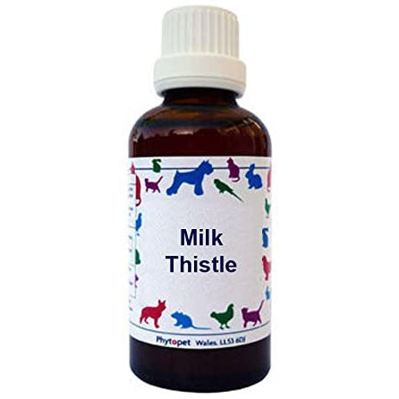 Milk Thistle Tincture for Dogs
