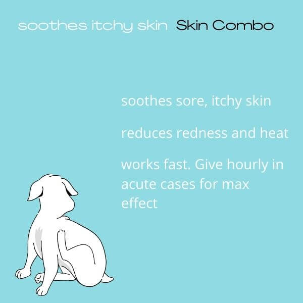 Skin Combo homeopathy for dogs, soothes sore itchy skin, reduces redness, fast relief for acute cases, 200 tablets package.