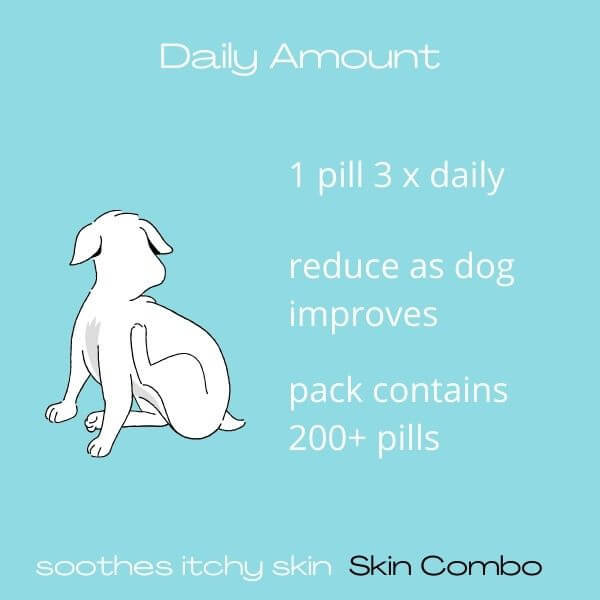 Dog illustration with Skin Combo dosage instructions for calming itchy skin, 200+ tablets pack.