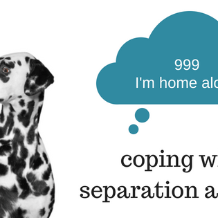 Dealing With Separation Anxiety