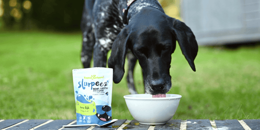 Black dog enjoying a healthy treat outdoors, next to a packet of natural pet treats in a garden setting.