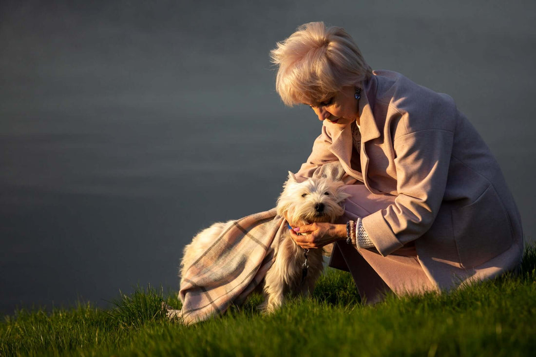 Elderly dog resting with text about making senior dogs comfortable with supplements.
