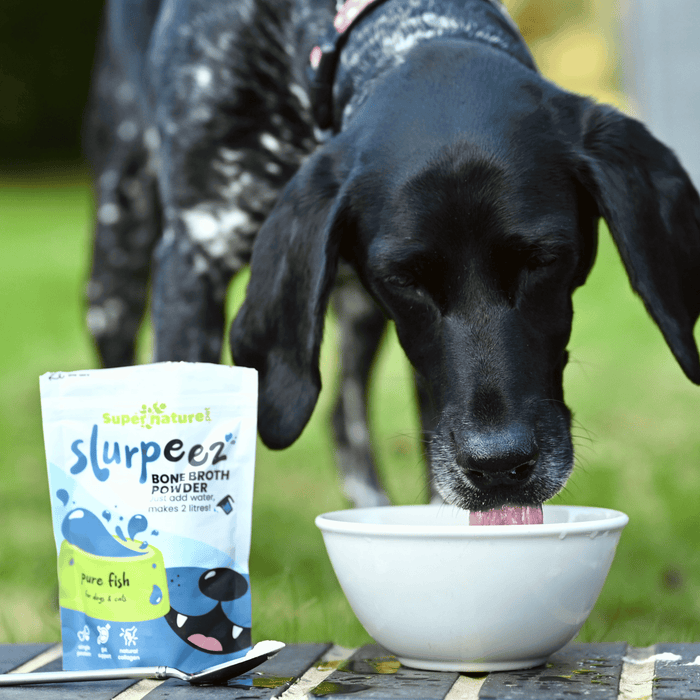 Black dog enjoying a healthy treat outdoors, next to a packet of natural pet treats in a garden setting.