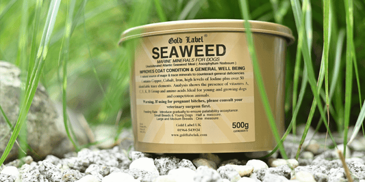 Seaweed supplement for dogs promoting coat condition and general well-being.