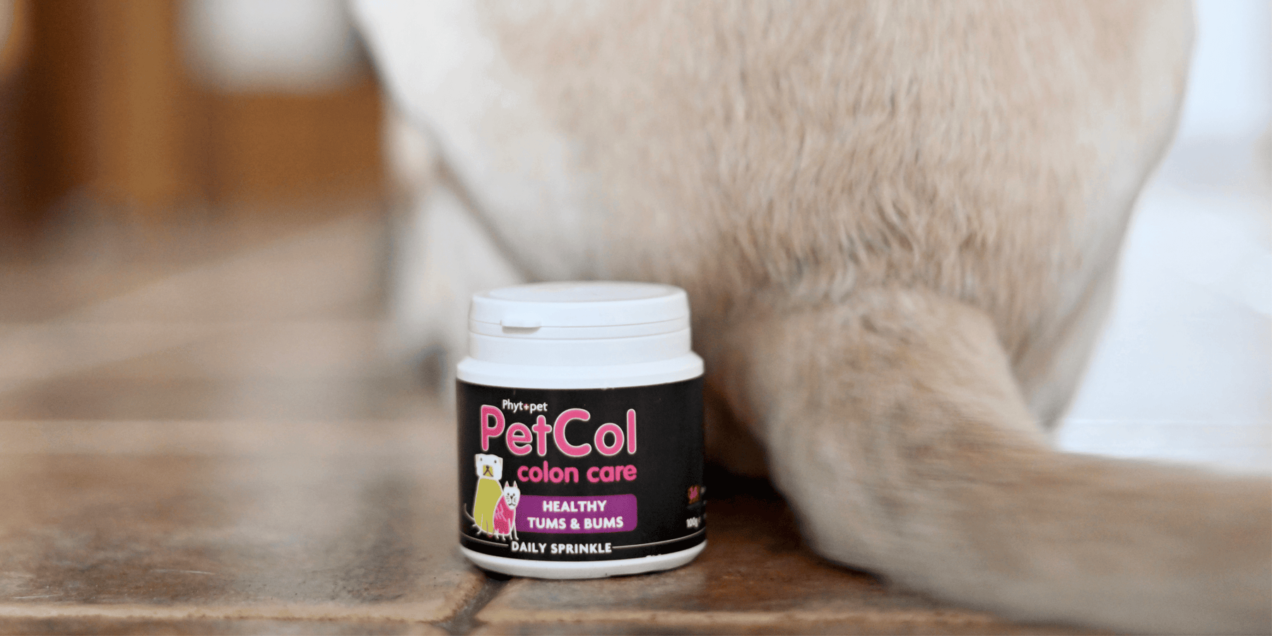 PetCol colon care supplement for dogs, addressing digestive and anal gland health, with a dog sitting in the background.