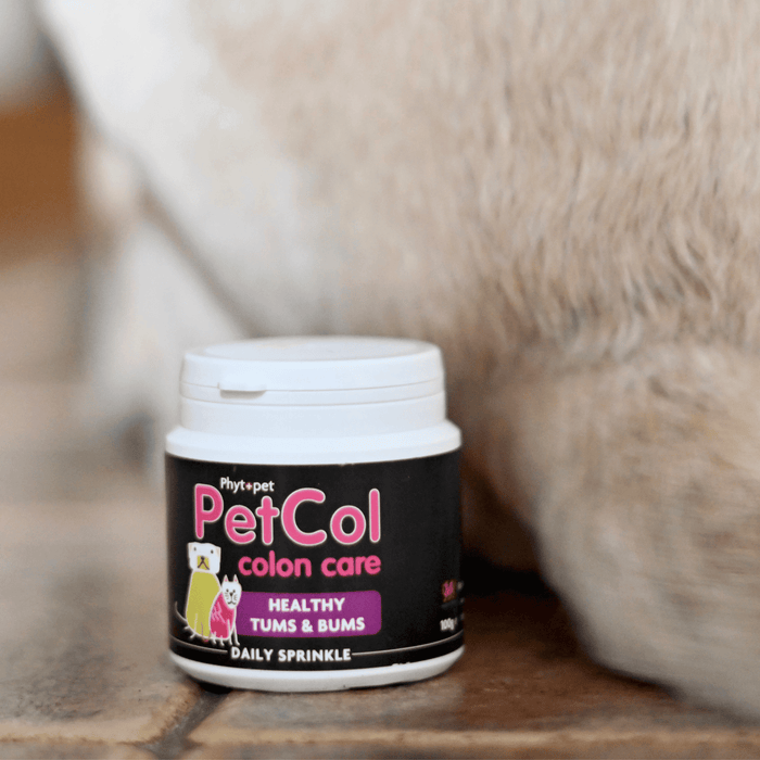 PetCol colon care supplement for dogs, addressing digestive and anal gland health, with a dog sitting in the background.