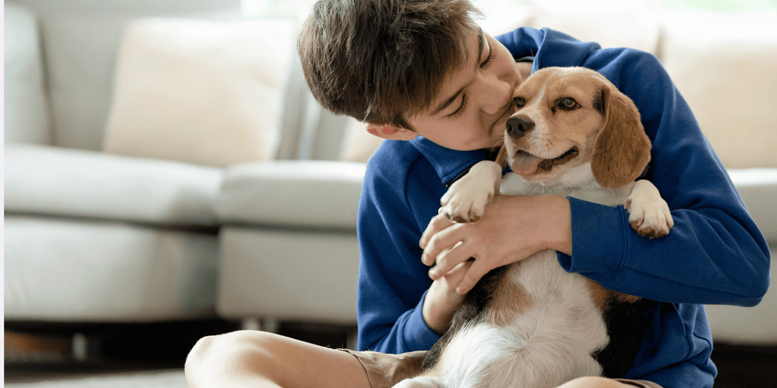Puppy being cuddled by boy at home