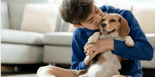 Puppy being cuddled by boy at home