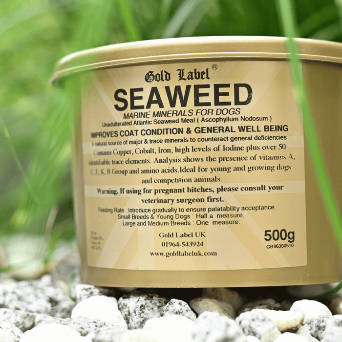 seaweed for dogs