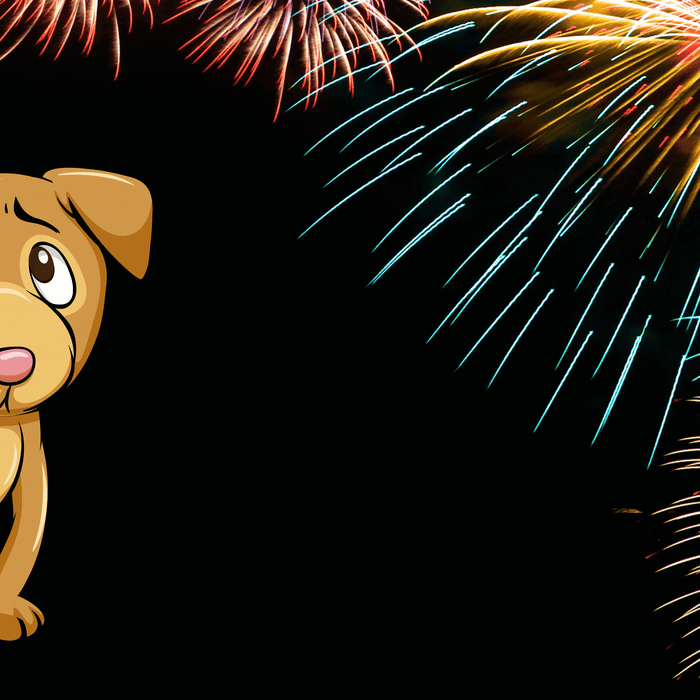 A worried cartoon dog sitting under a colorful fireworks display in the night sky, illustrating noise sensitivity.