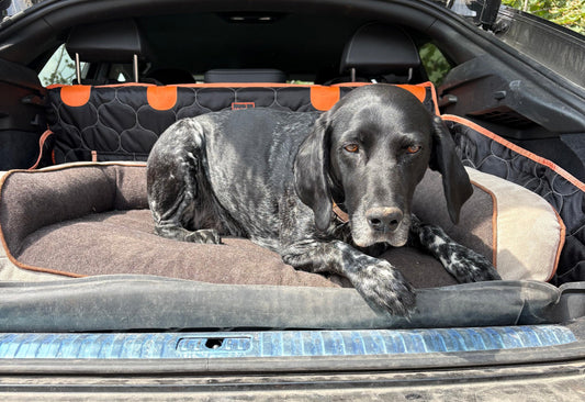 Happy Travelling with your Dog