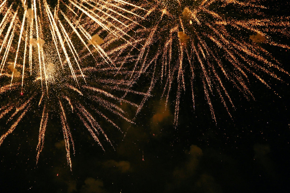 How to Prepare Your Dog for Fireworks Night: A Step-by-Step Plan