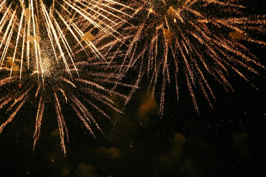 How to Prepare Your Dog for Fireworks Night: A Step-by-Step Plan