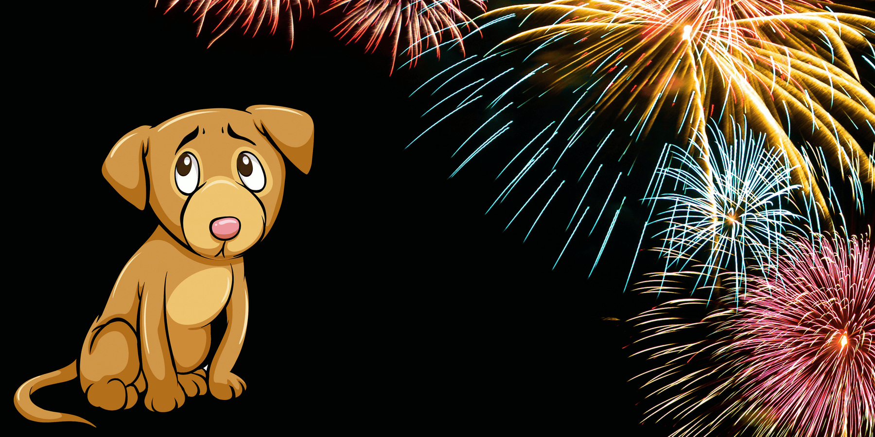 How to De-sensitise Your Dog to Firework Sounds