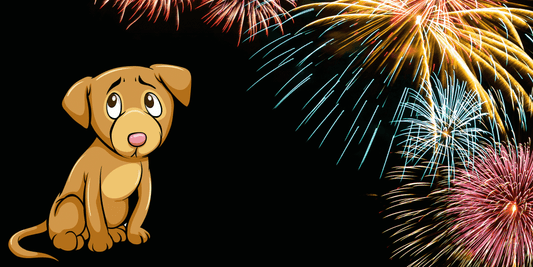 A worried cartoon dog sitting under a colorful fireworks display in the night sky, illustrating noise sensitivity.