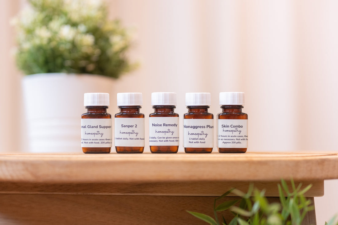 Homeopathic Remedies for Dogs: How They Work & Common Myths