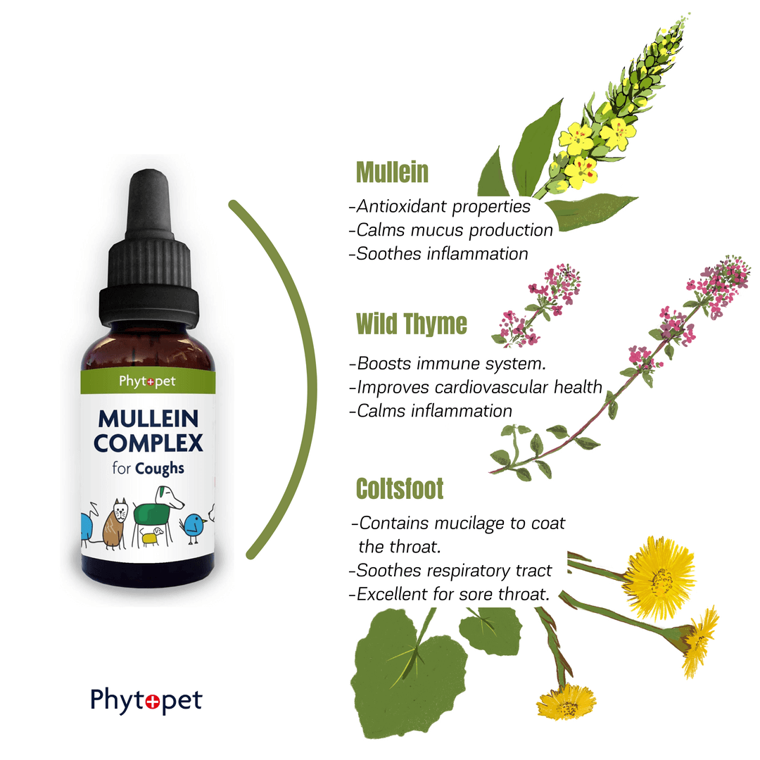 Mullein Complex for Dogs tincture bottle with herbs like mullein, wild thyme, and coltsfoot for soothing respiratory conditions.