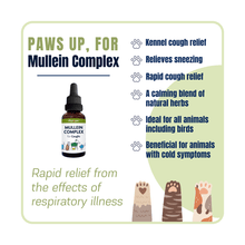 Mullein Complex for Dogs - natural relief for kennel cough and respiratory issues, calming herb blend for pets including birds.