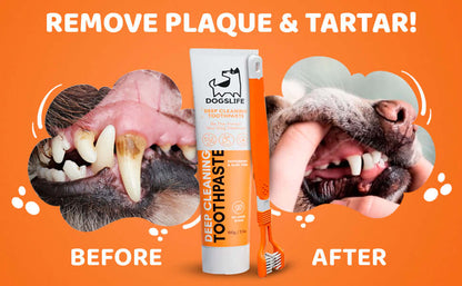 Dog's Life Toothpaste shown before and after plaque removal, highlighting effective dental cleaning for dogs.