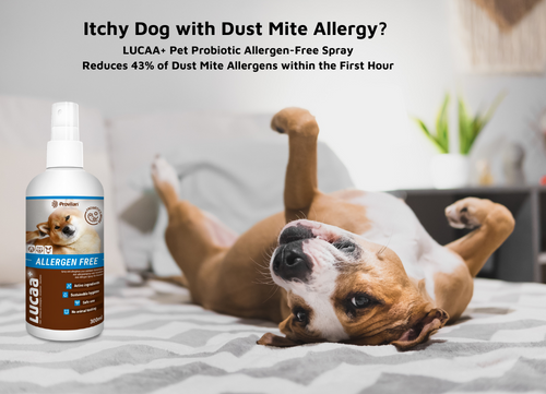 Lucaa+ Pet Probiotic Allergen Free Skin Spray